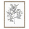 Giclee Studio Silvered Leaves III Framed Art