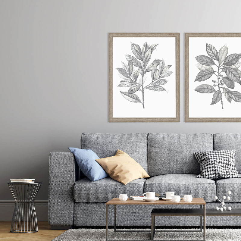 Giclee Studio Silvered Leaves III Framed Art