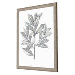 Giclee Studio Silvered Leaves III Framed Art