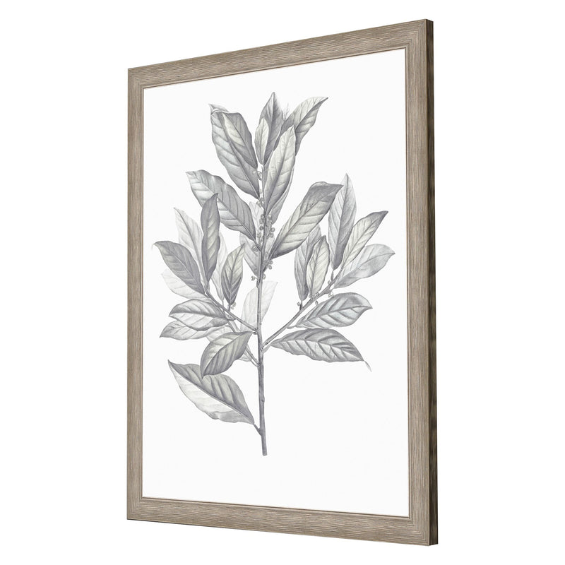 Giclee Studio Silvered Leaves III Framed Art