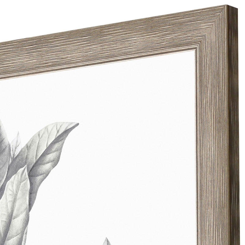 Giclee Studio Silvered Leaves III Framed Art