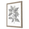 Giclee Studio Silvered Leaves IV Framed Art