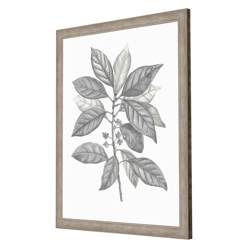 Giclee Studio Silvered Leaves IV Framed Art