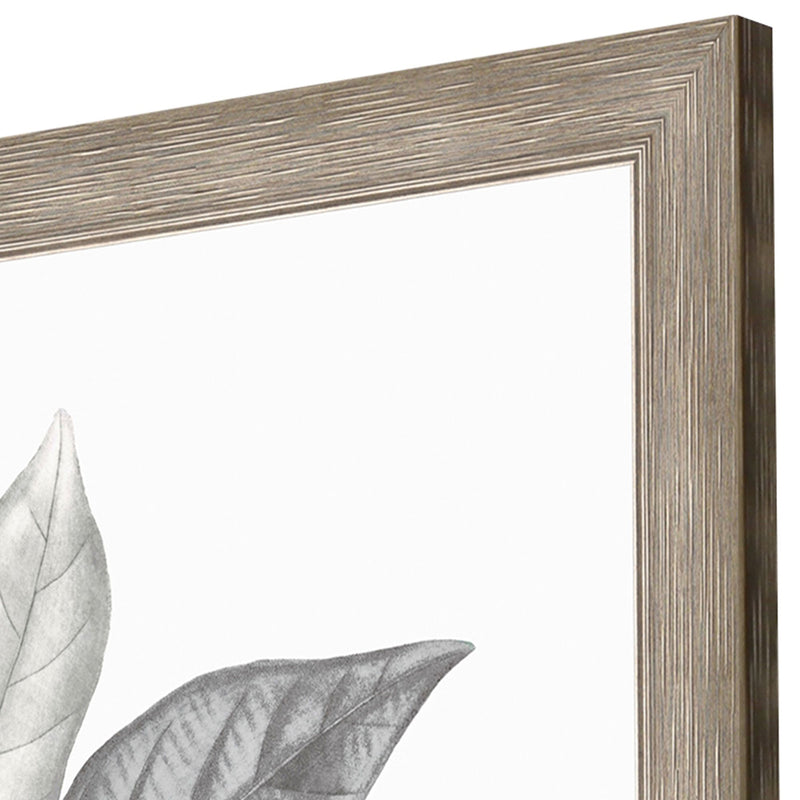 Giclee Studio Silvered Leaves IV Framed Art