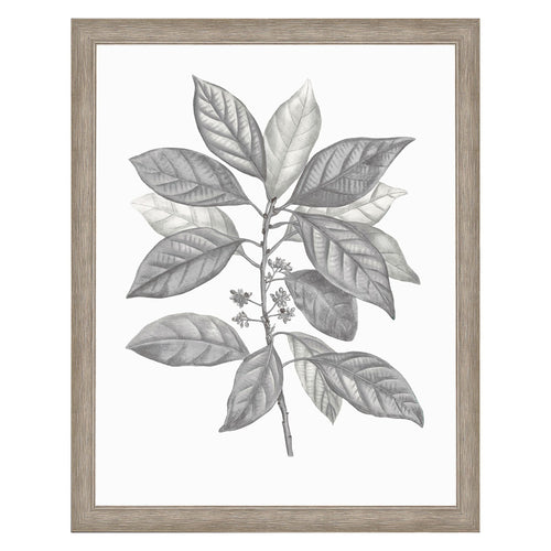 Giclee Studio Silvered Leaves IV Framed Art