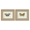 Musical Butterflies Framed Art Set of 2