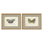 Musical Butterflies Framed Art Set of 2