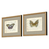 Musical Butterflies Framed Art Set of 2