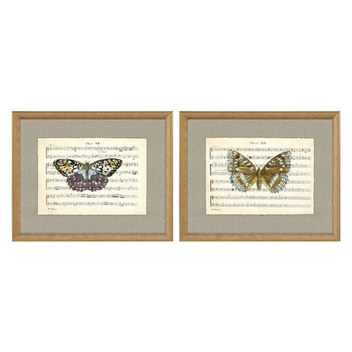 Musical Butterflies Framed Art Set of 2