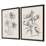 Vintage Garden Sketch Framed Art Set of 2