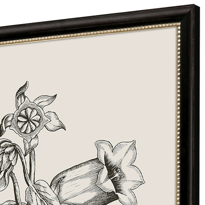 Vintage Garden Sketch Framed Art Set of 2