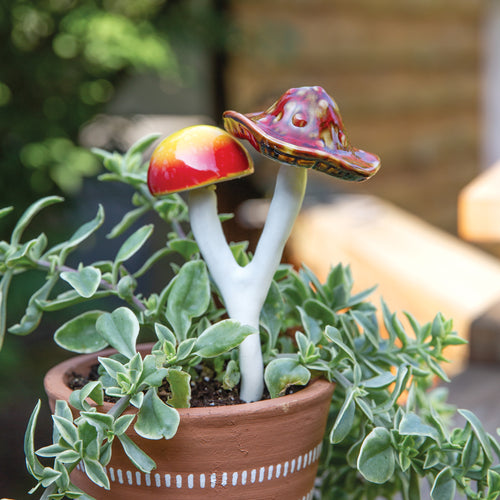 Double Mushroom Plant Pick