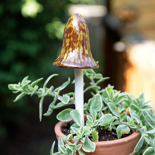 Big Bell Mushroom Plant Pick