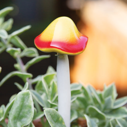 Mini Mushroom Plant Pick