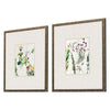 PI Studio Forest Treasure Framed Art Set of 2