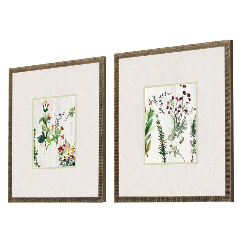 PI Studio Forest Treasure Framed Art Set of 2