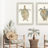 Adamson-Ray Neutral Turtle I Framed Art