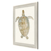 Adamson-Ray Neutral Turtle I Framed Art