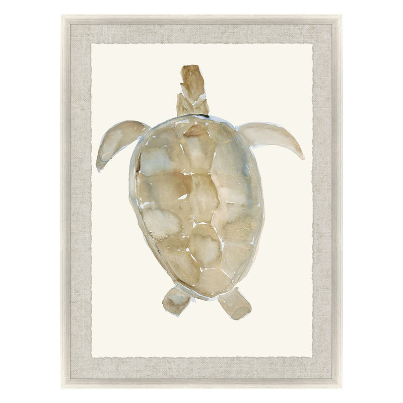 Adamson-Ray Neutral Turtle I Framed Art