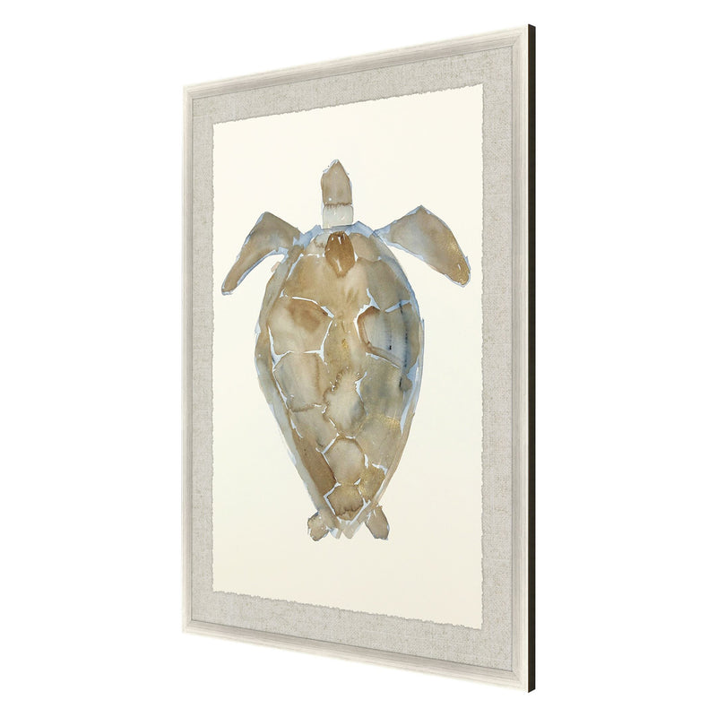 Adamson-Ray Neutral Turtle II Framed Art