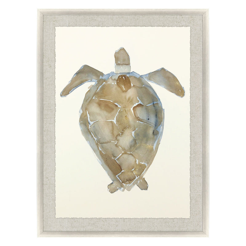 Adamson-Ray Neutral Turtle II Framed Art