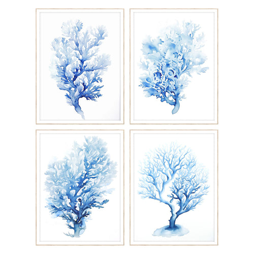 Petal Prints Indigo Coral Framed Art Set of 4