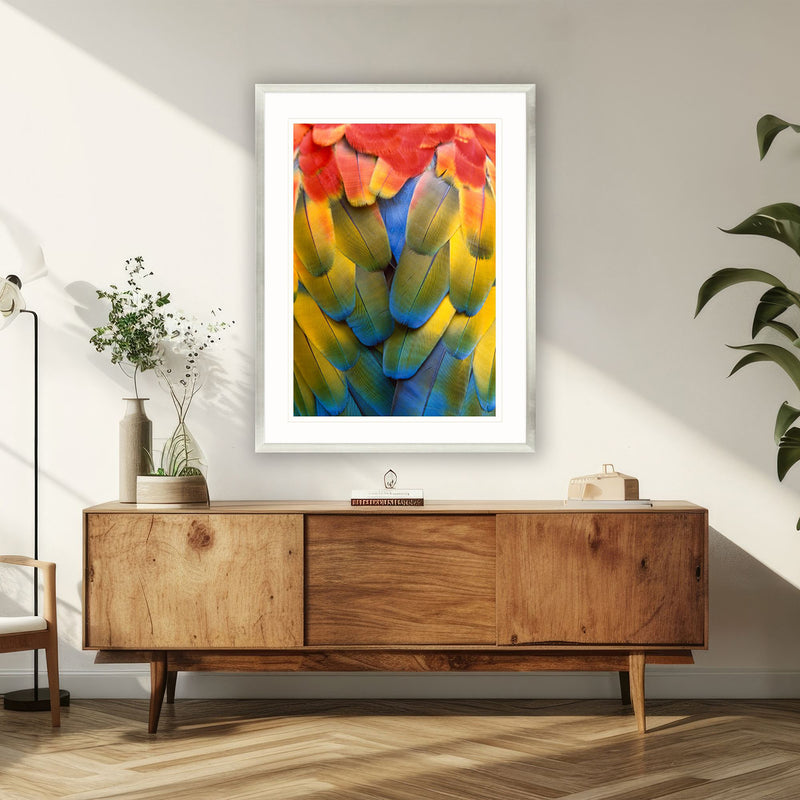 Wolfe Scarlet Macaw Framed Art