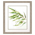 Watts Willow Branch II Framed Art