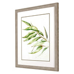 Watts Willow Branch II Framed Art