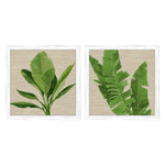 Roberts Palm Isle I Framed Art Set of 2