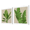 Roberts Palm Isle I Framed Art Set of 2