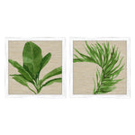 Roberts Palm Isle II Framed Art Set of 2