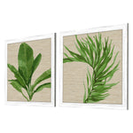 Roberts Palm Isle II Framed Art Set of 2