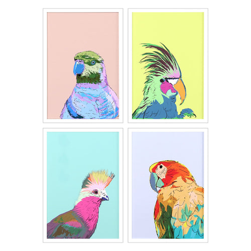 PI Studio Friendly Parrots Framed Art Set of 4