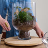 Reservior Terrarium