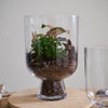 Reservior Terrarium