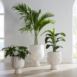 Jonathan Adler Osaka Disc Concrete Planter