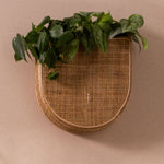 Huxley Hanging Planter