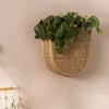 Huxley Hanging Planter