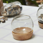 Full View Terrarium Set of 2