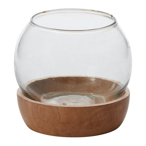 Full View Terrarium Set of 2