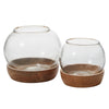 Full View Terrarium Set of 2