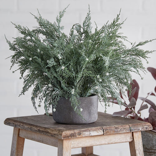 Cypress Faux Potted Plant