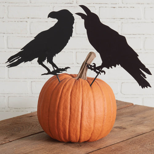 Raven Pick Set of 2