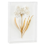 Chelsea House Porcelain  Flowers Shadowbox