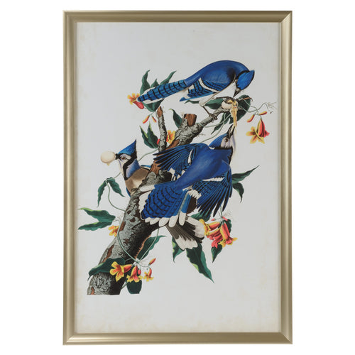 Chelsea House Audubon Blue Jay I Framed Artwork