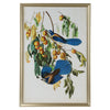 Chelsea House Audubon Blue Jay II Framed Artwork