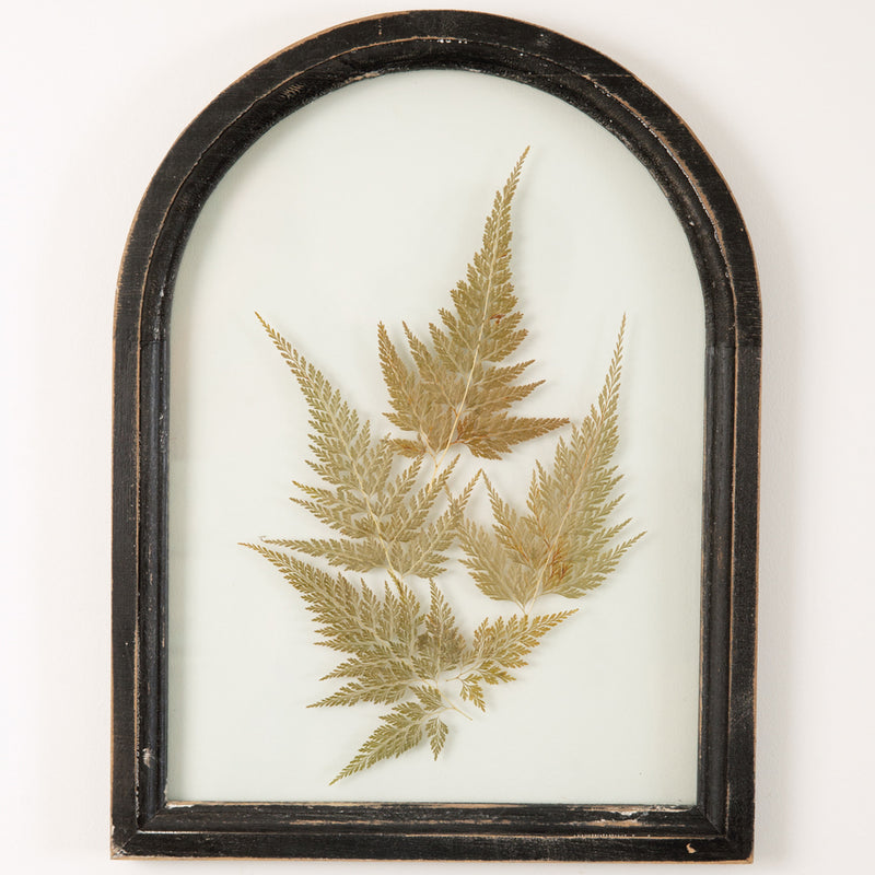 Black Arched Botanical Wall Art