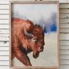 American Bison Wall Art