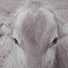 Brown Swiss Cow Wall Art